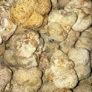 Lion’s Mane Mushroom For ADHD