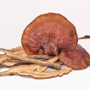Dried Reishi Mushrooms